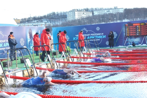 Чемпионат России по зимнему плаванию