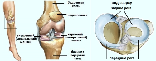 Повреждения коленного сустава в тяжелой атлетике