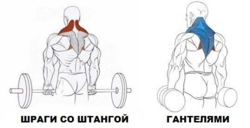 Шраги