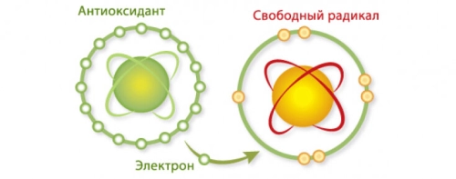 Антиоксиданты