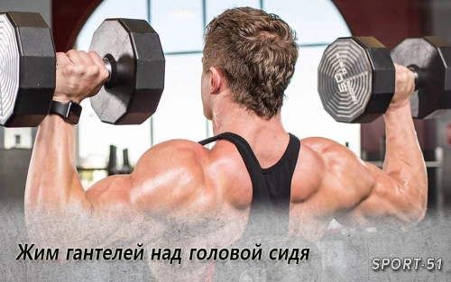 Жим гантелей над головой сидя