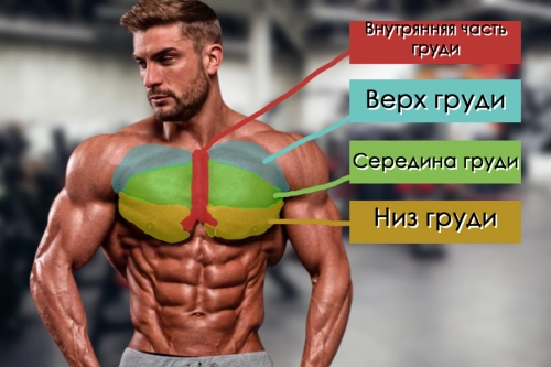 Подтягиваем верхние грудные мышцы