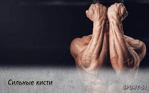 Сильные кисти