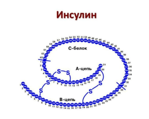 Инсулиновый индекс продуктов