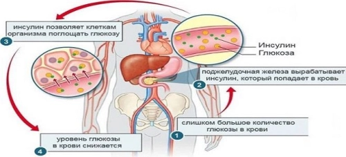 Инсулиновый индекс продуктов