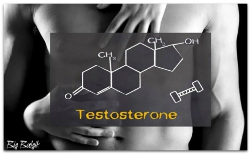 Что делает с человеком тестостерон?