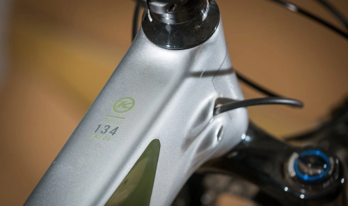 Kona Process 134 2020