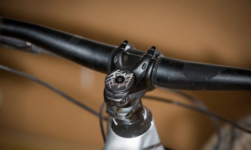 Kona Process 134 2020