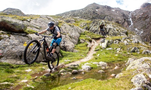 Rocky Mountain Slayer 2020