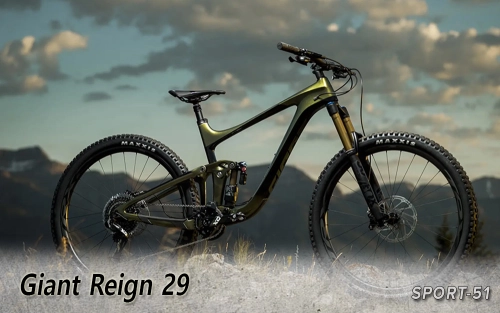 Giant Reign 29