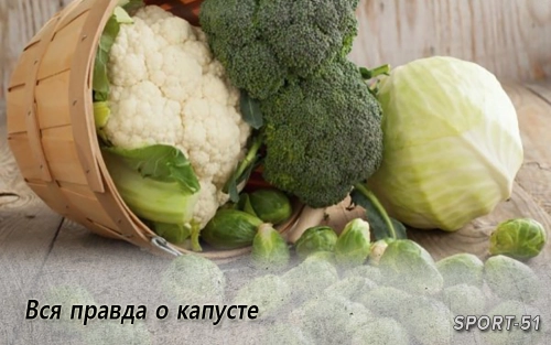Вся правда о капусте